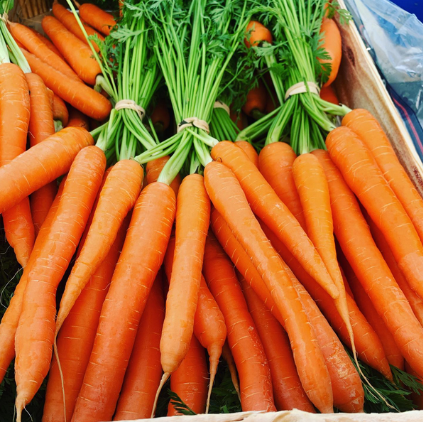 Zanahorias
